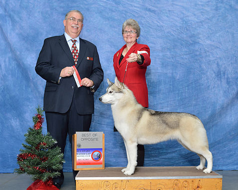 Madeleine - Delaware Water Gap 2012